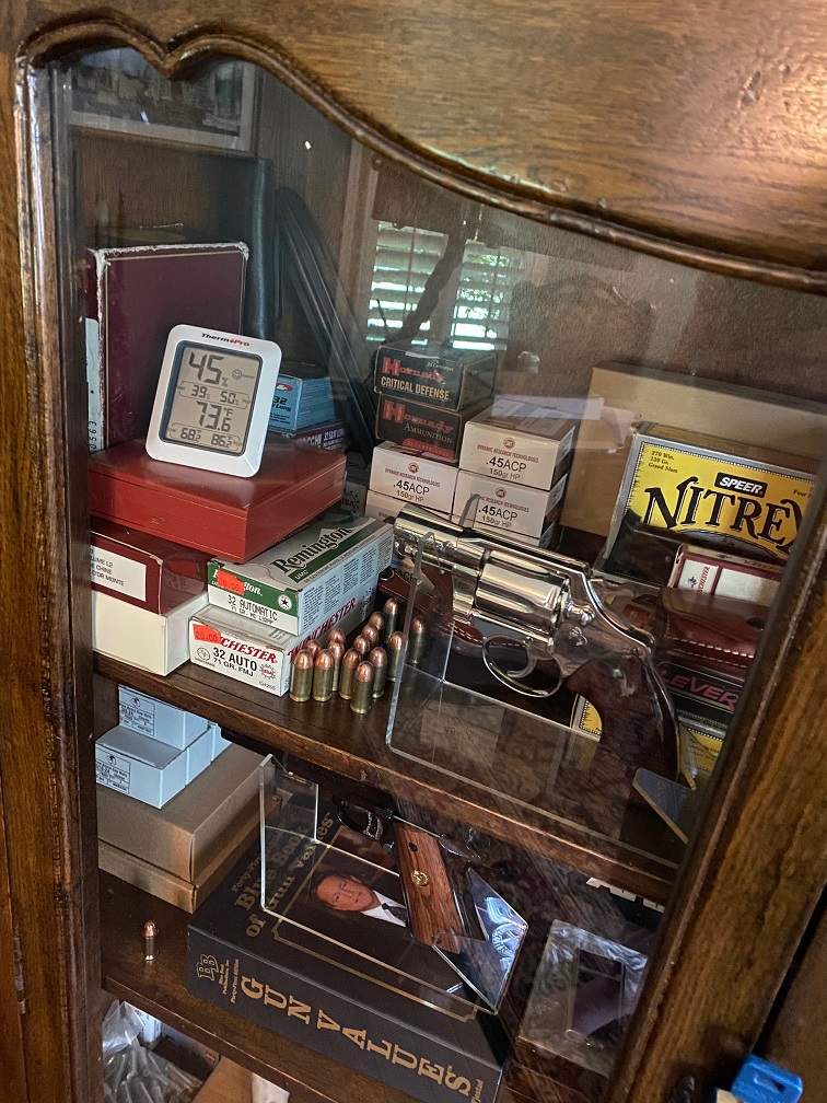 The ThermoPro TP50 in my gun cabinet. This is the kind of simple visual check that made the product useful to me.