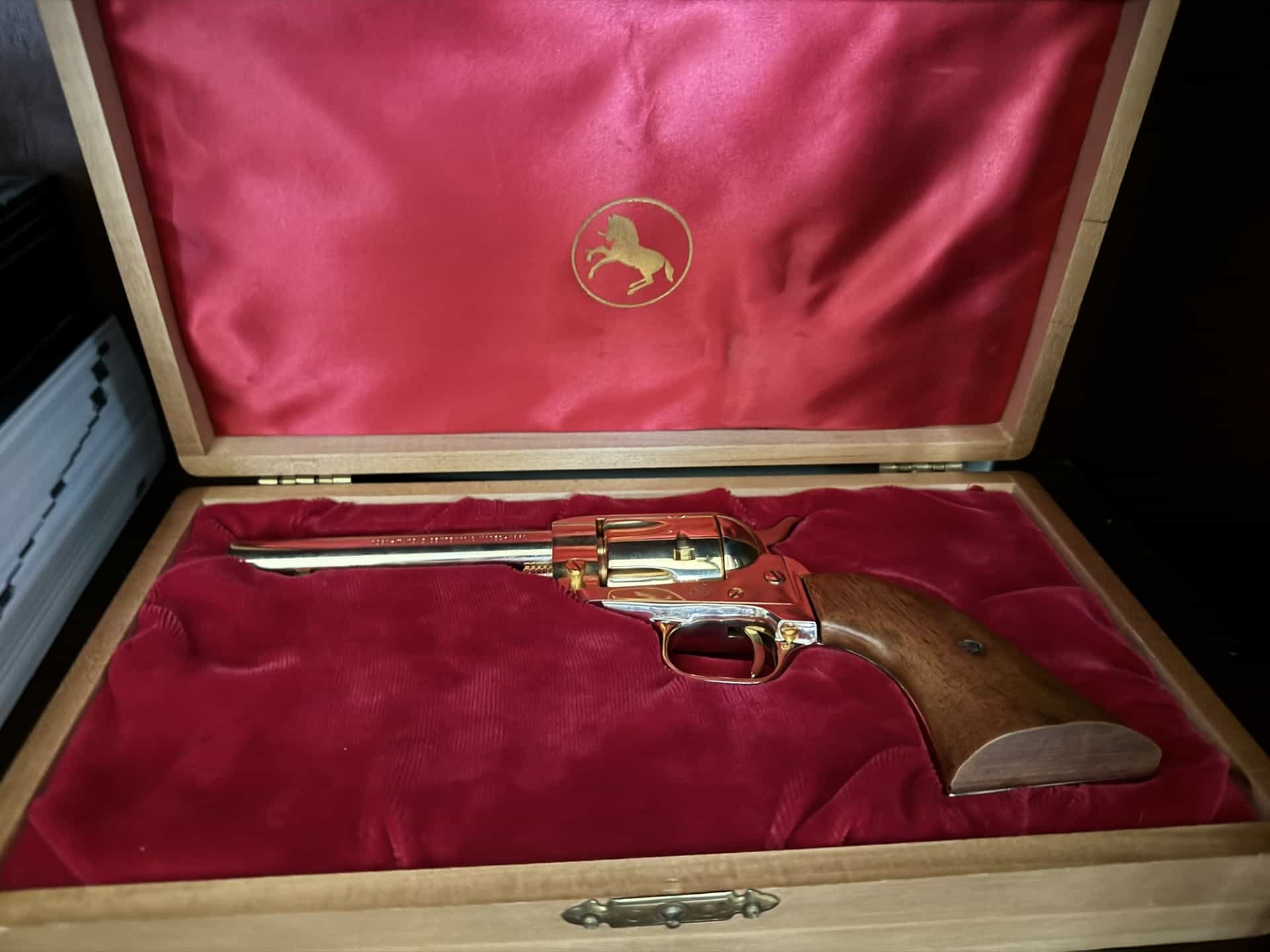 Commemorative gun case