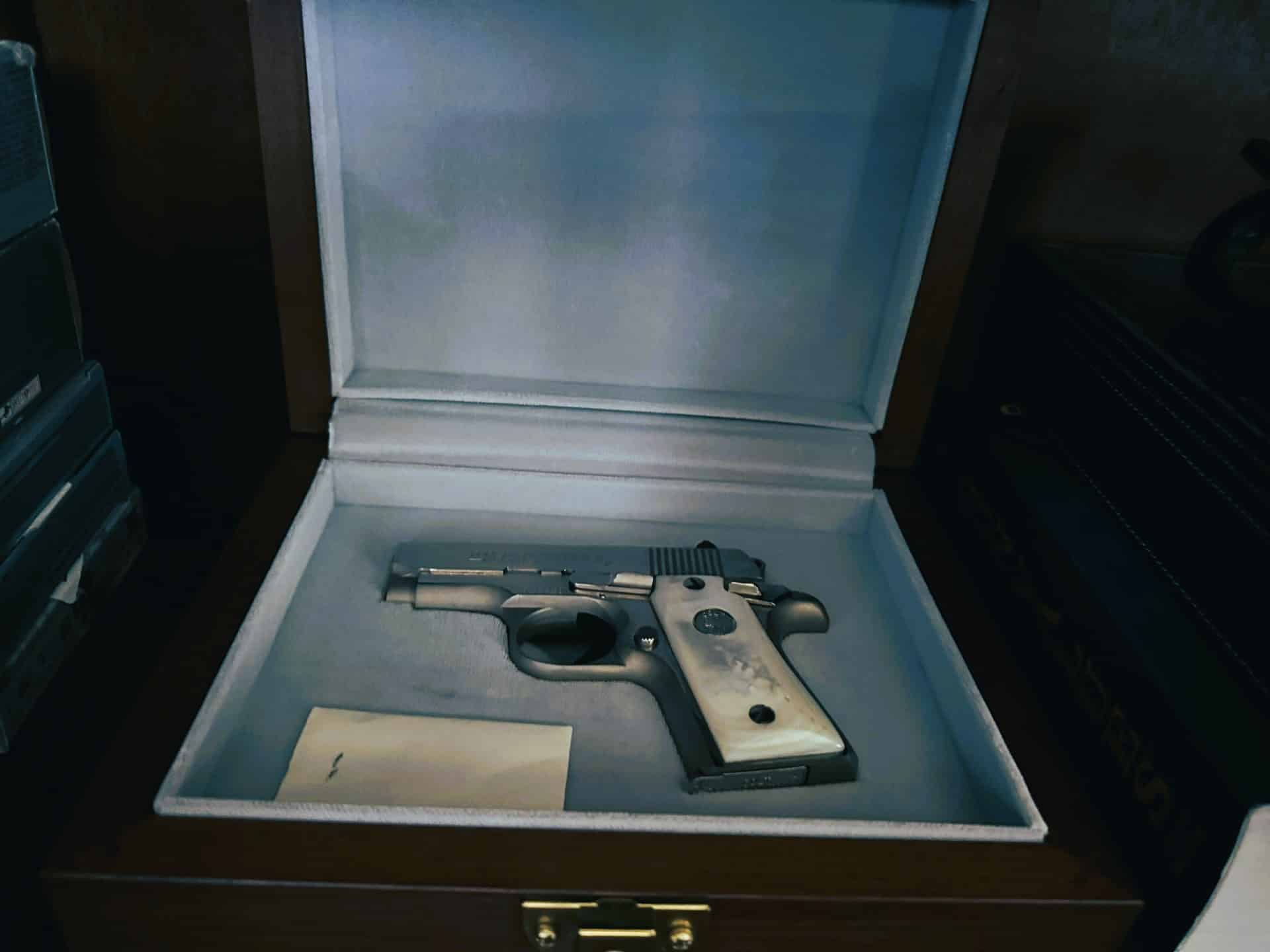 Colt Mustang gun case