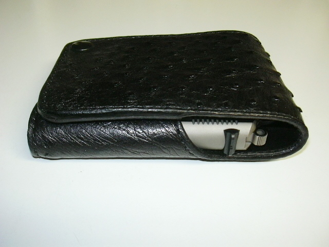 Wallet holster and small pistol