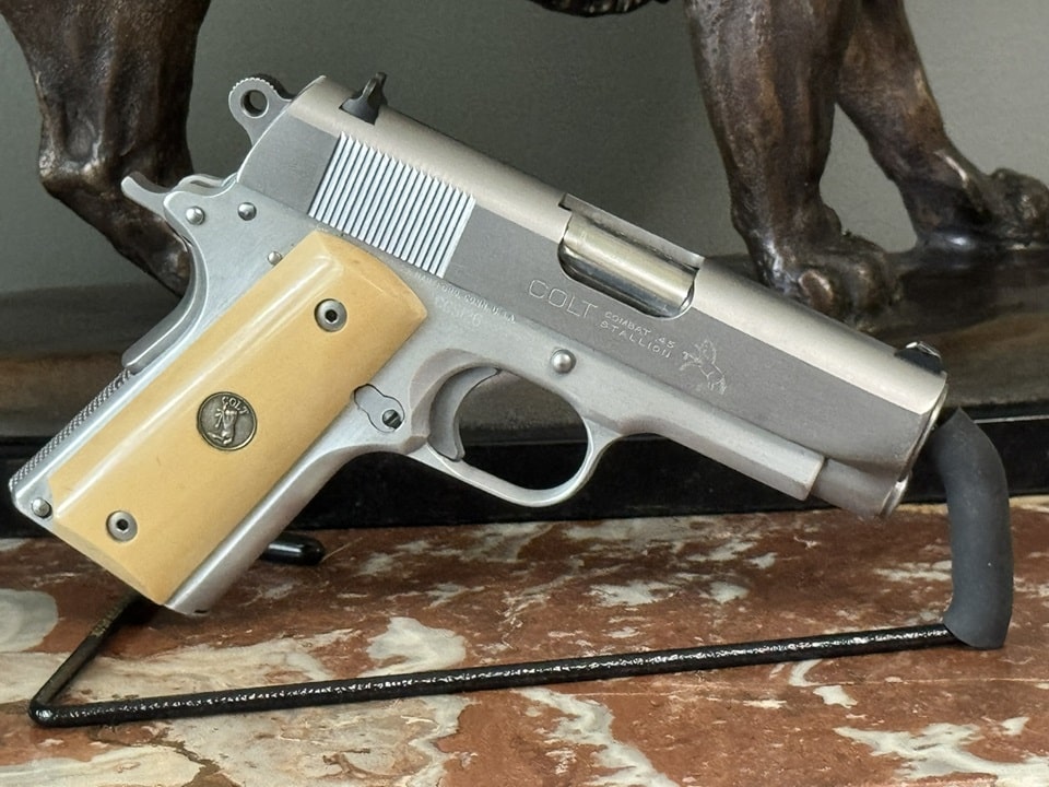Combat Stallion